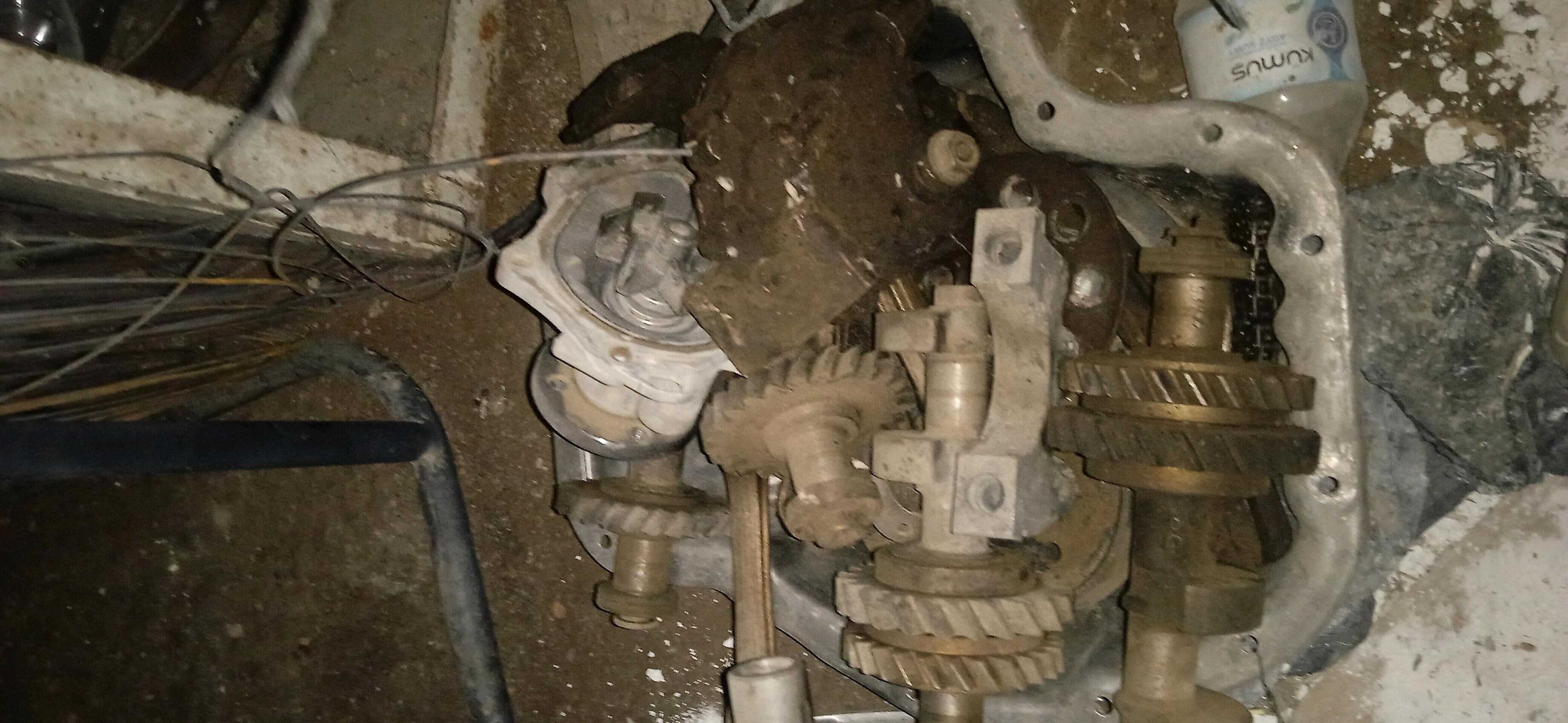 2.4 okuz kelle mator zapcast 800 TMT - Garagum etraby - img 3