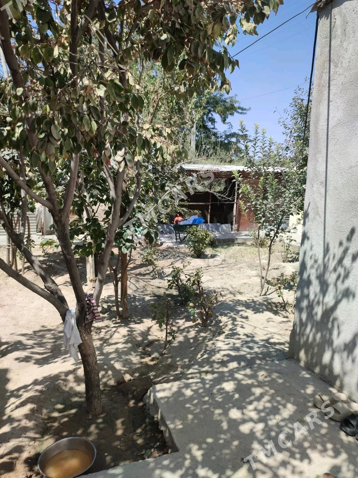 SATLYK BüZMEYİN GÛNEş PULA - Ашхабад - img 4
