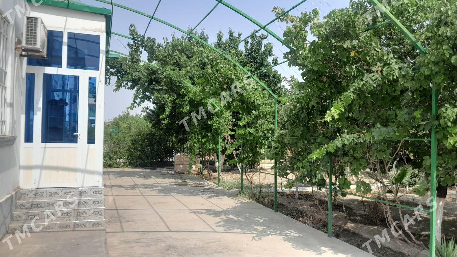taze zaman kotež - Aşgabat - img 4