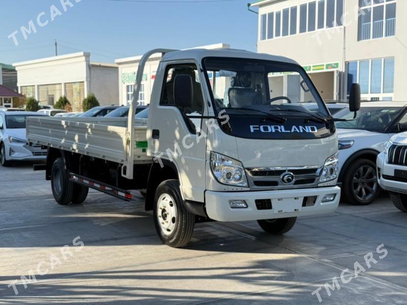 Forland H3 2025 - 225 000 TMT - Mary - img 4