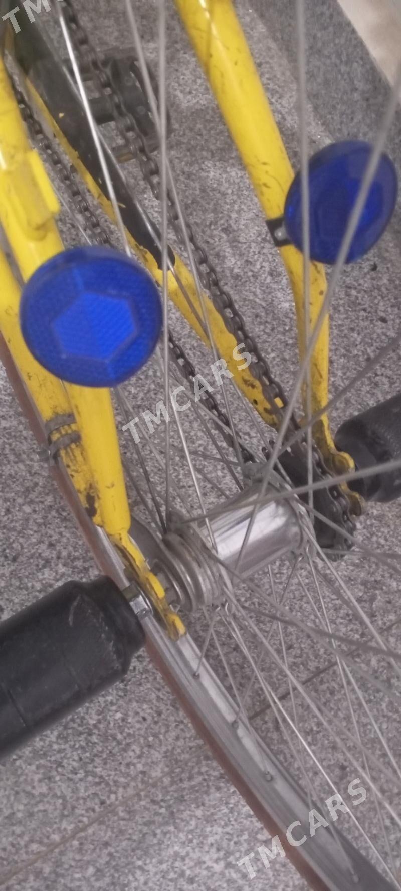 tigir 26 lyk - Parahat 7 - img 5