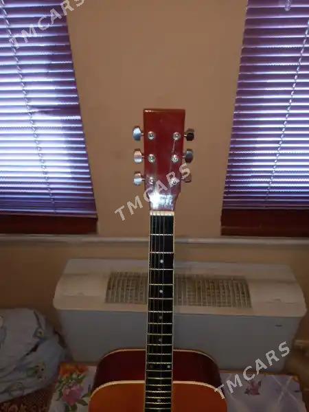 Aýlin akustuka gitara - Бабадайхан - img 4