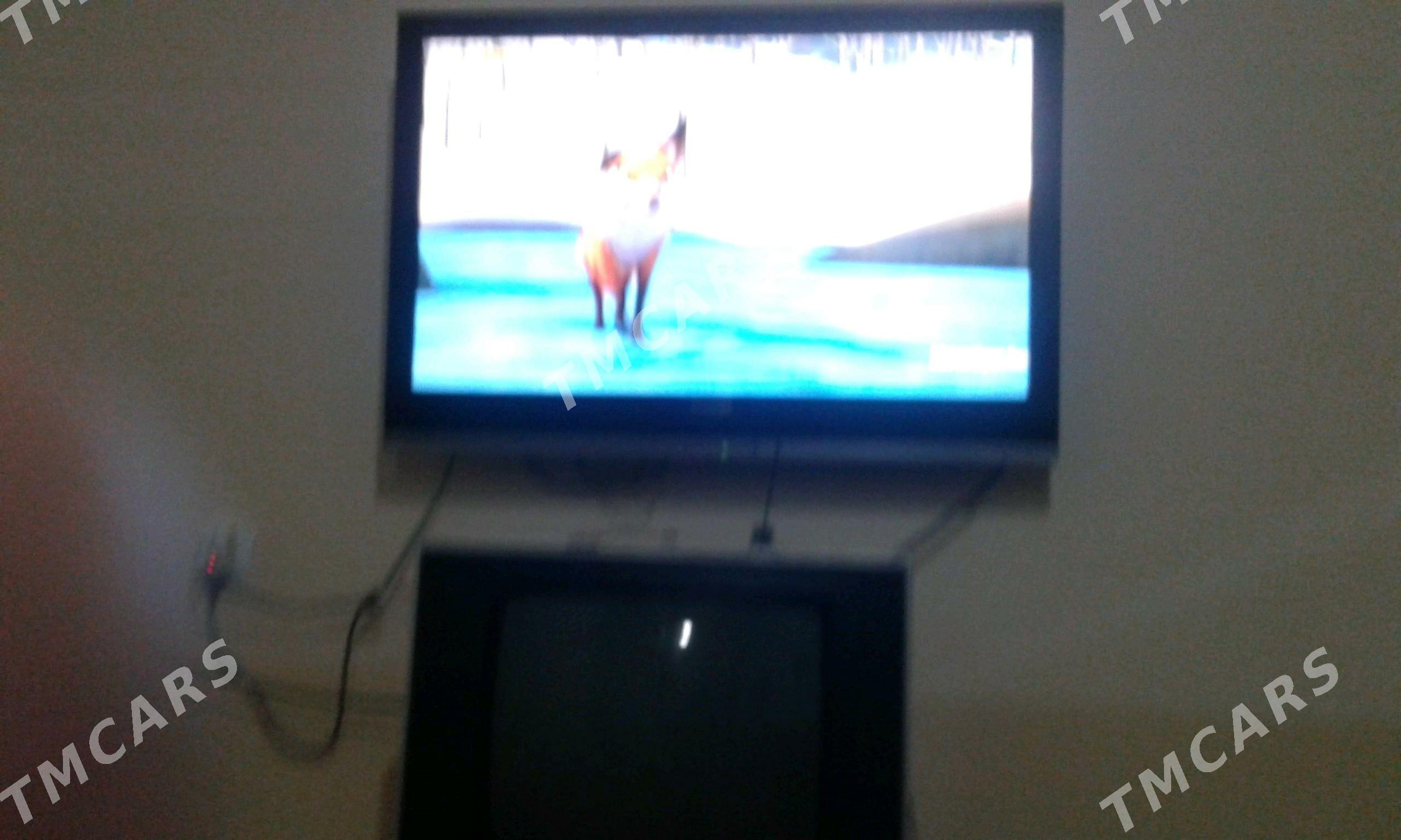 Telewizer - Murgap - img 1