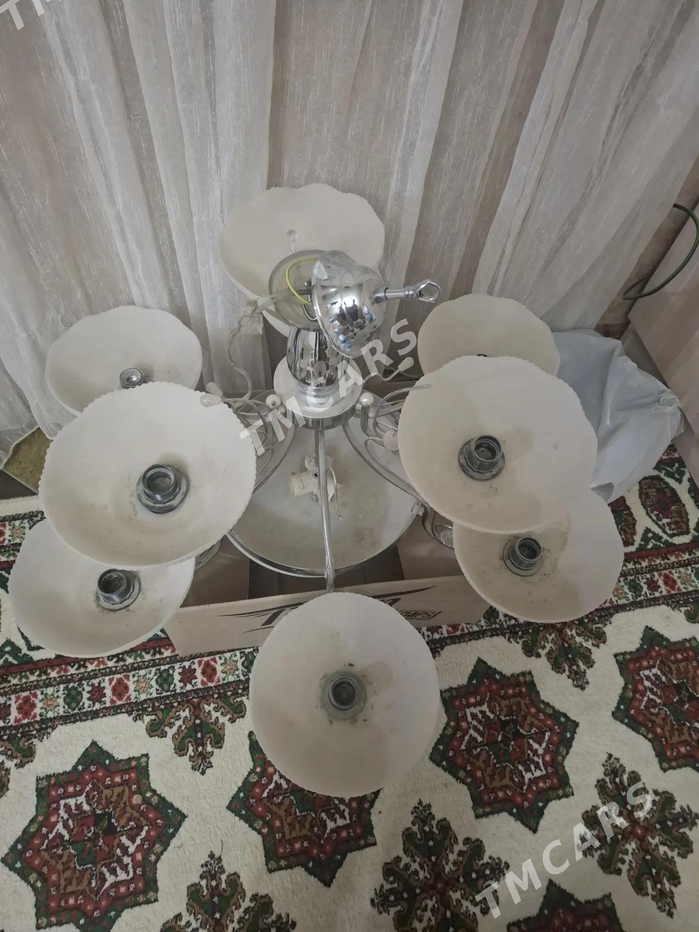 lustyra - Çoganly - img 2