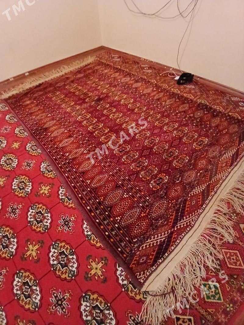 Turkmen haly - Ашхабад - img 2