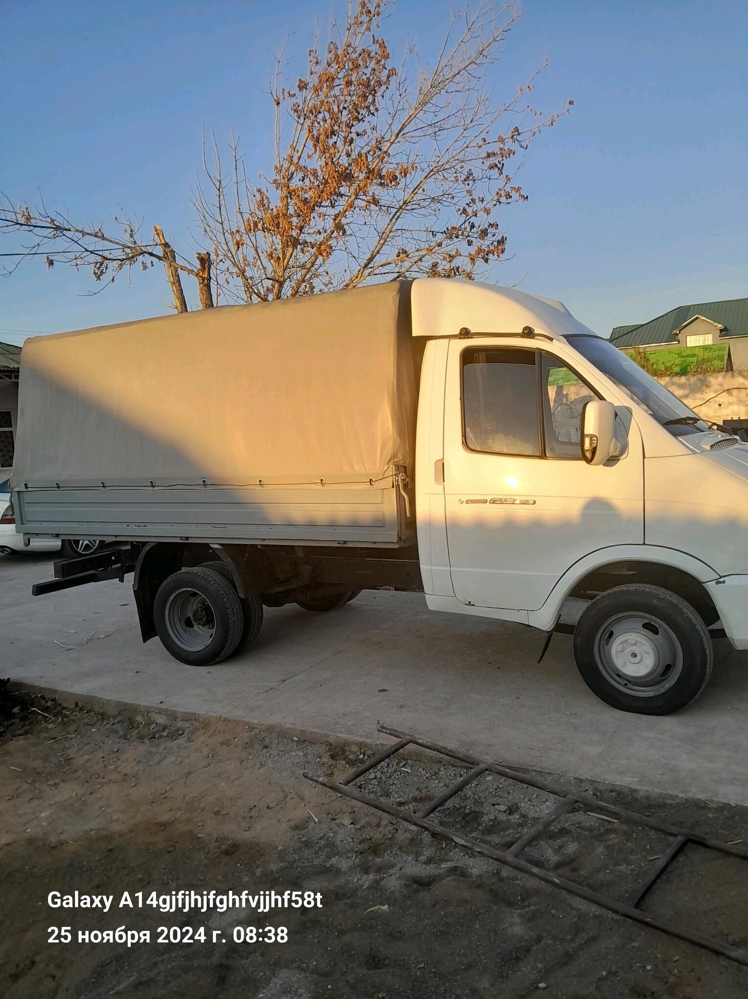 gazel - Aşgabat - img 2