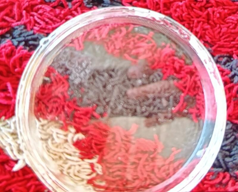 Ford onki cyrasynyn aynasy 250 TMT - Ашхабад - img 2