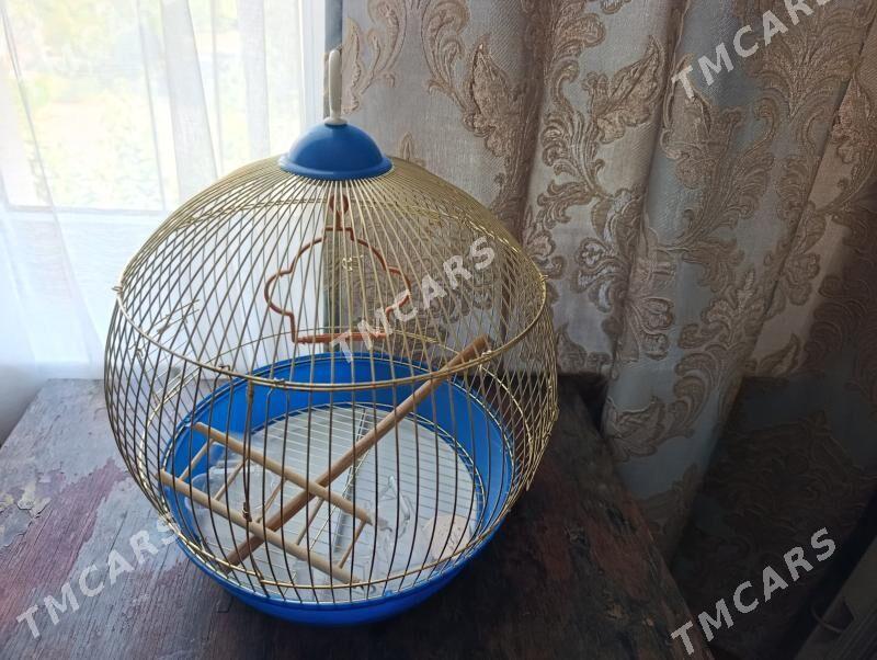 Клетка для попугаев - Aşgabat - img 2