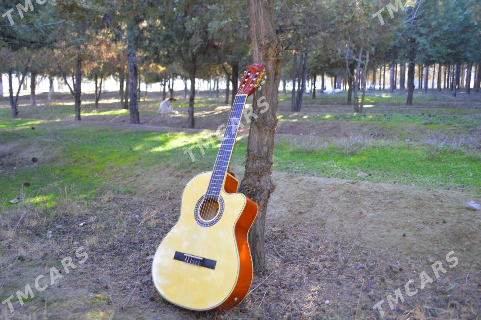 KOMPLEKT GITARA - Туркменбаши - img 3
