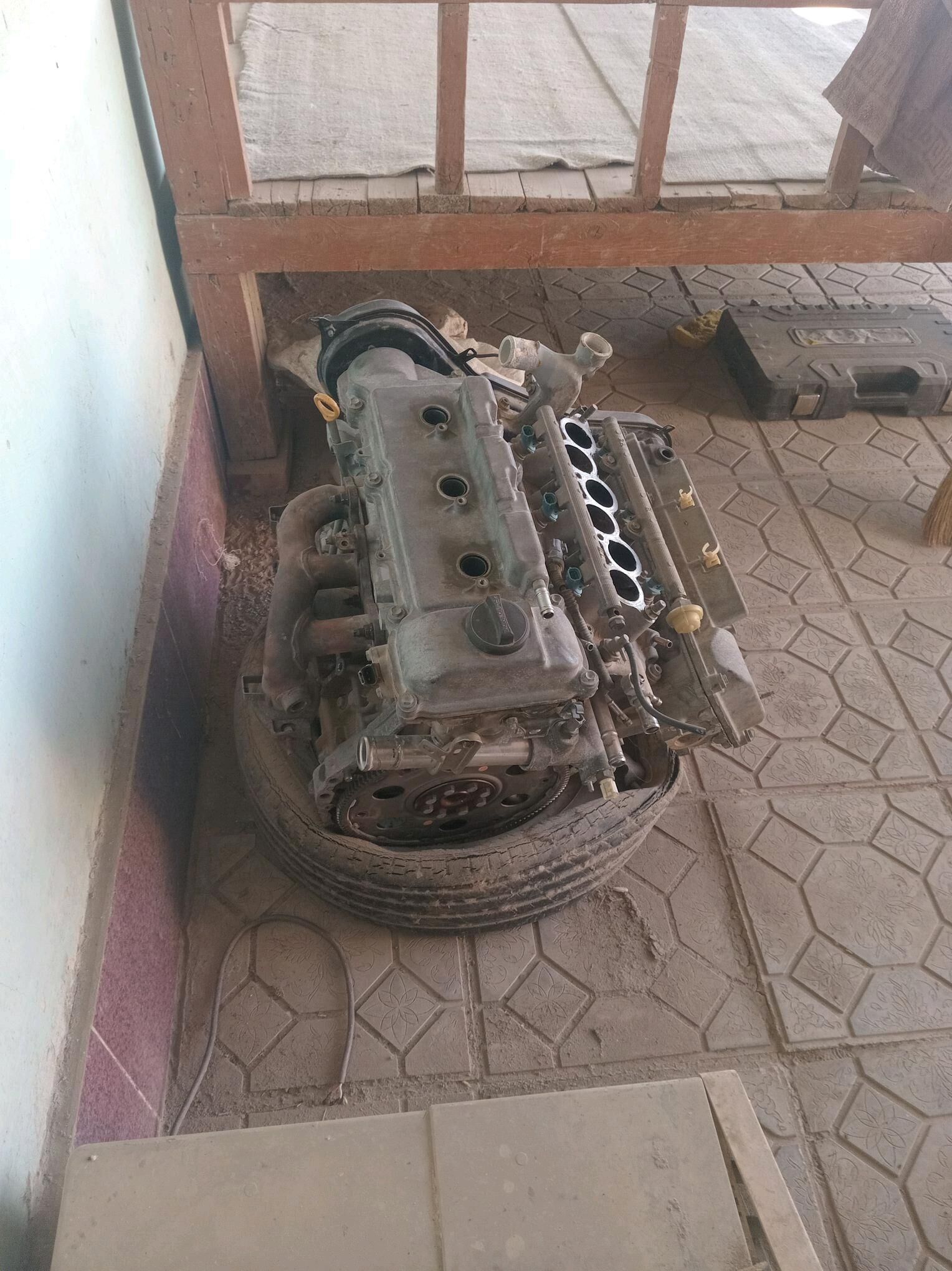 Motor morda 12 TMT - Халач - img 2