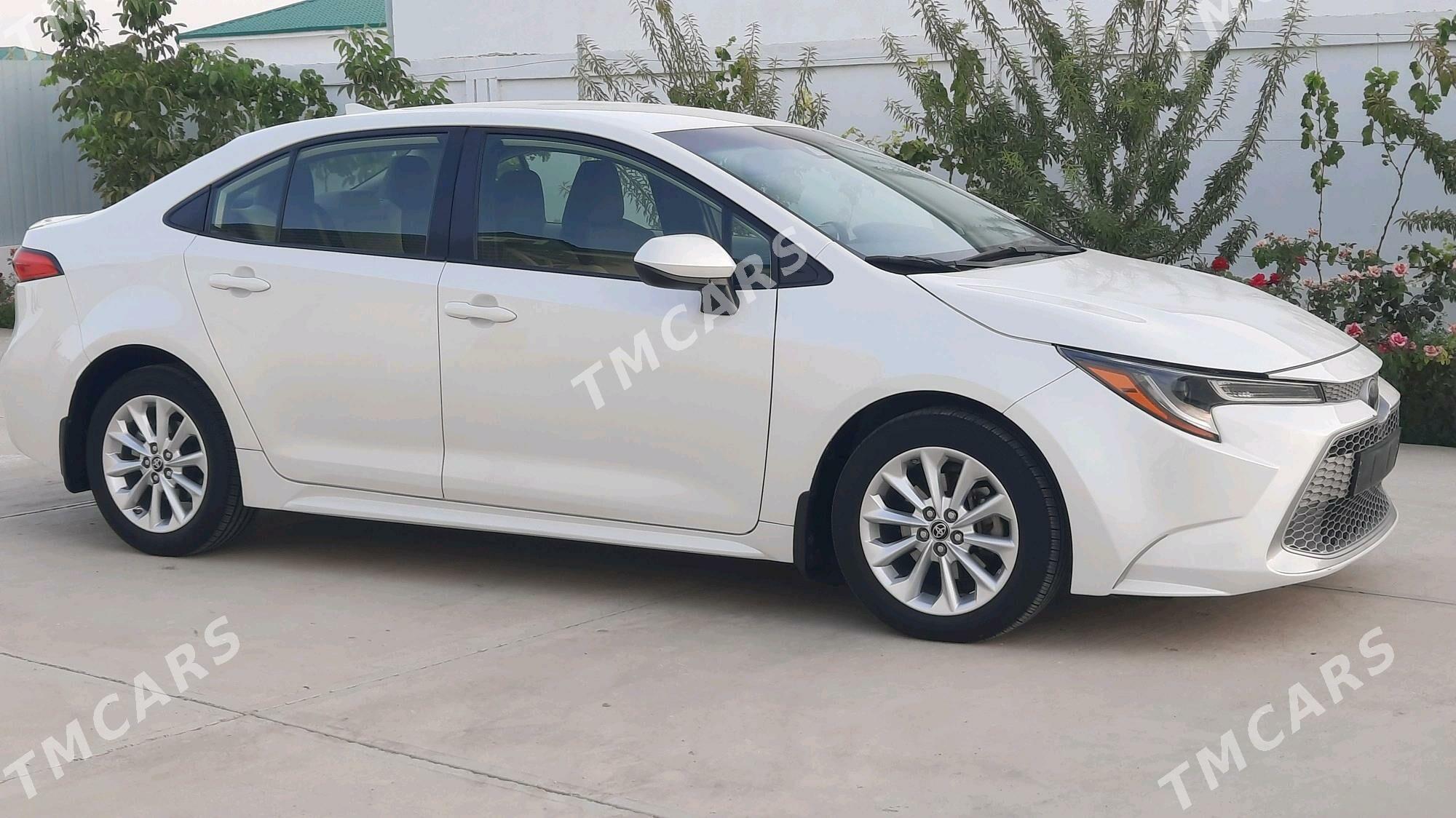 Toyota Corolla 2020 - 230 000 TMT - Ашхабад - img 3