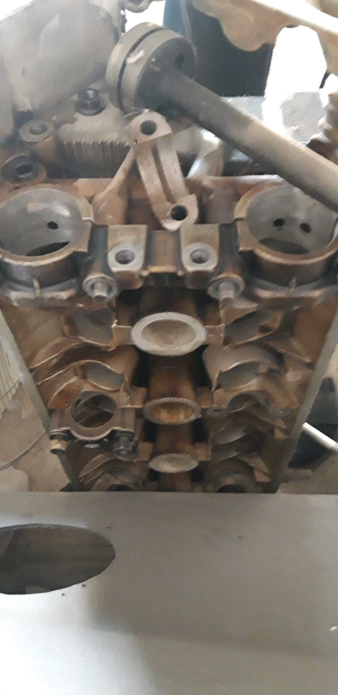 Gazel galowka 3 000 TMT - Tejen - img 1