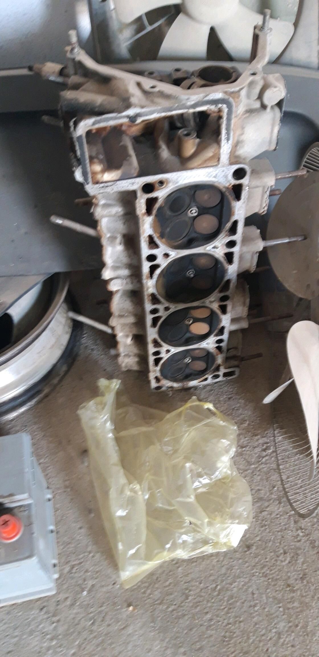 Gazel galowka 3 000 TMT - Tejen - img 2