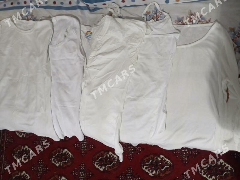 koftalar - Türkmenabat - img 2