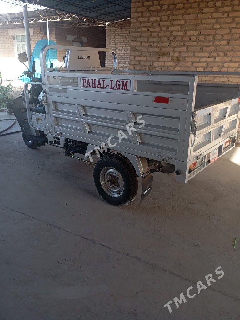 Fekon FK200-14G 2023 - 27 000 TMT - Garabekewül - img 2