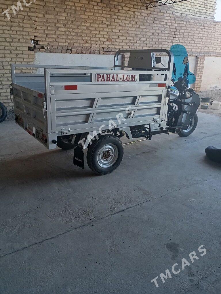 Fekon FK200-14G 2023 - 27 000 TMT - Garabekewül - img 5