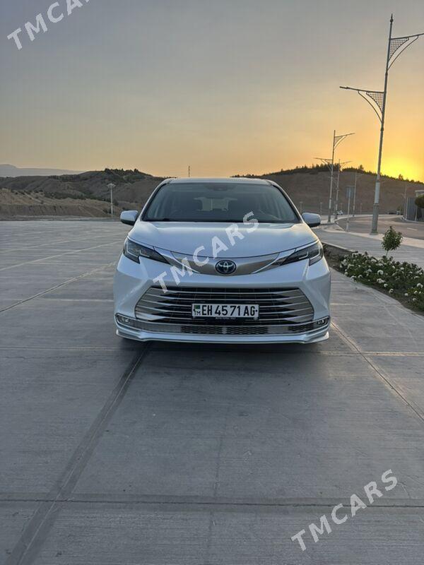 Waditel - Aşgabat - img 3