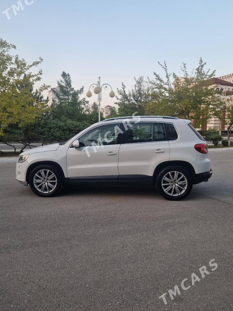 Volkswagen Tiguan 2010 - 157 000 TMT - Ашхабад - img 4