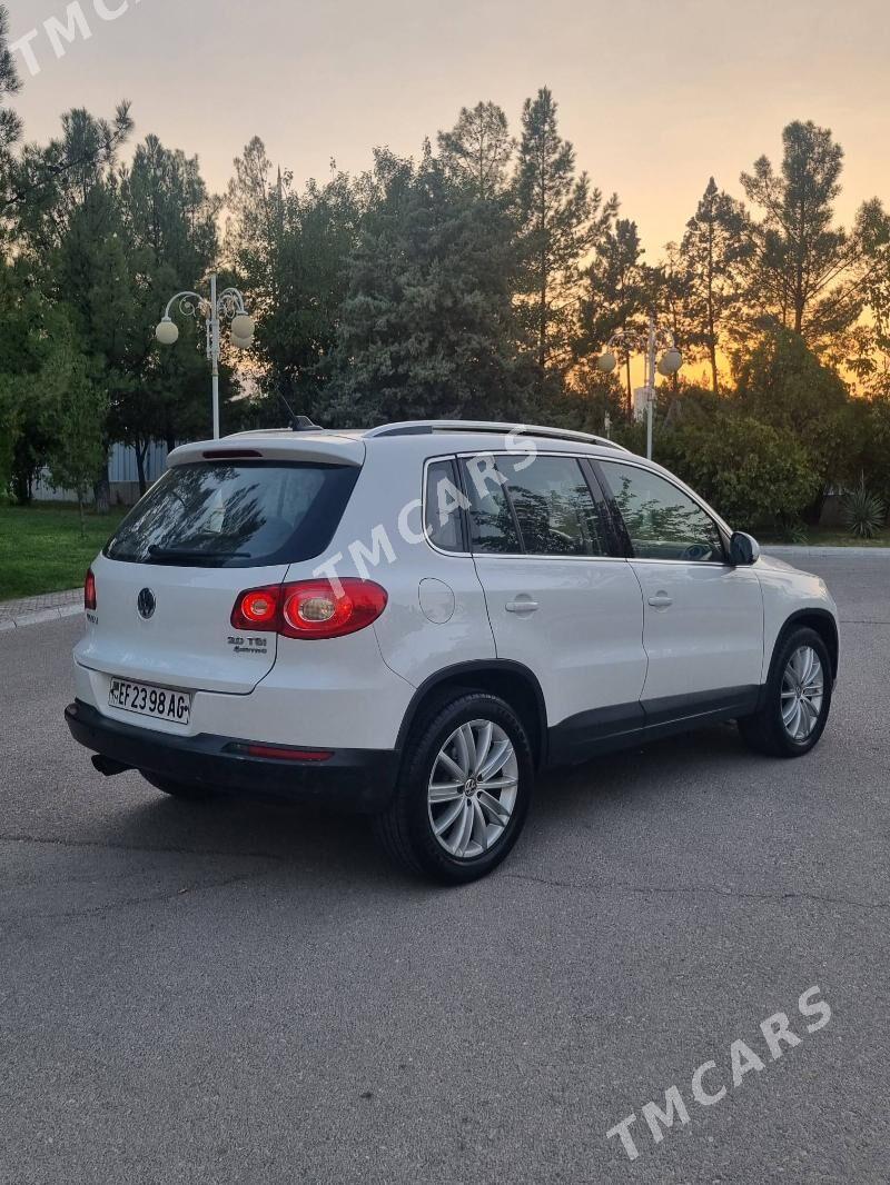 Volkswagen Tiguan 2010 - 157 000 TMT - Ашхабад - img 3