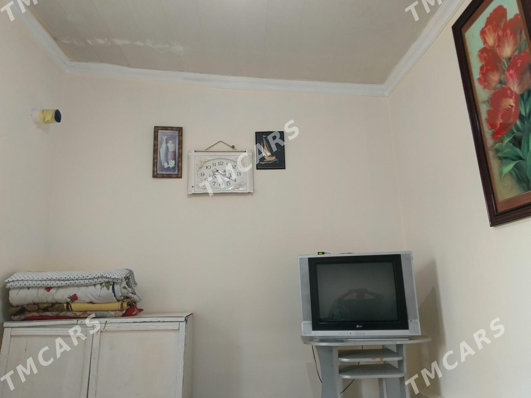 kireýne jaý - Bagyr - img 2
