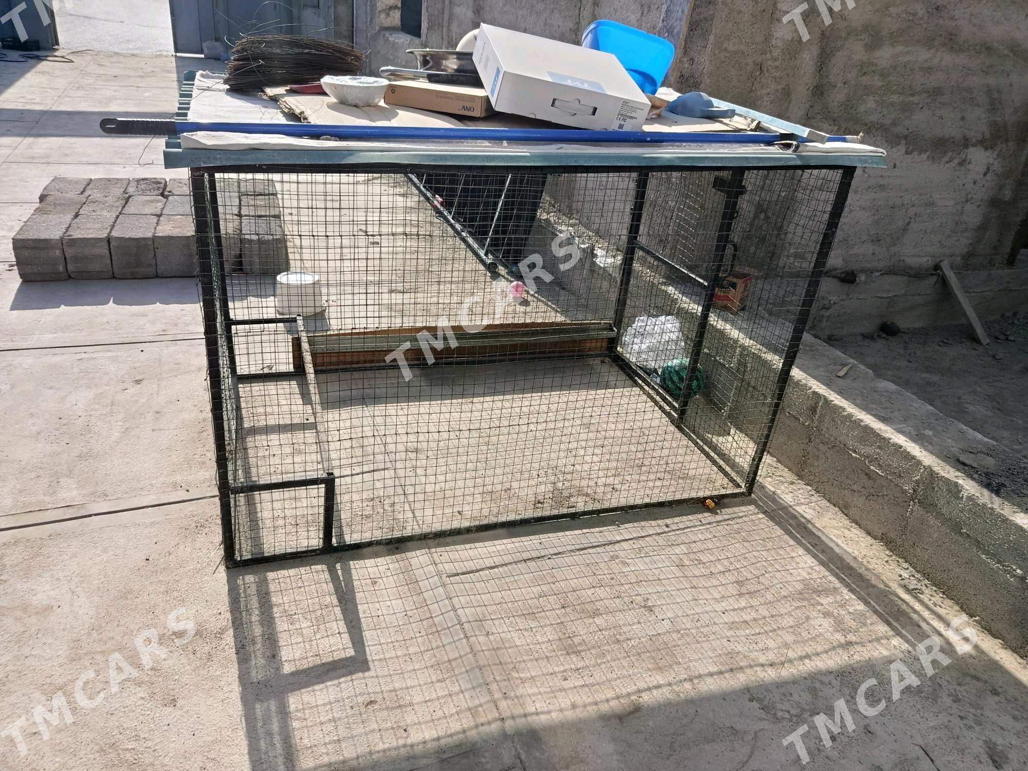 Ketek - Aşgabat - img 2