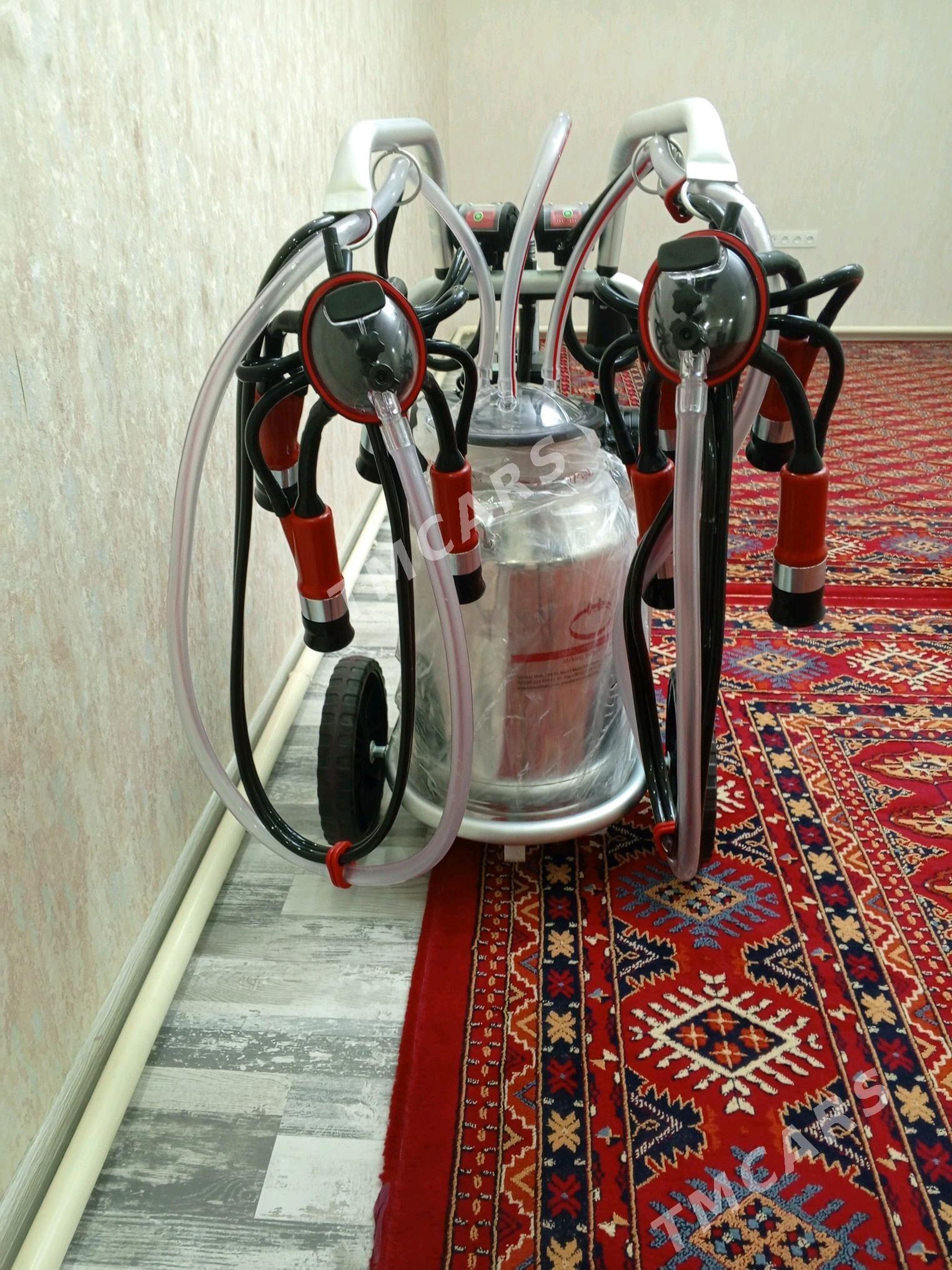 sygyr sagyan - Кака - img 2