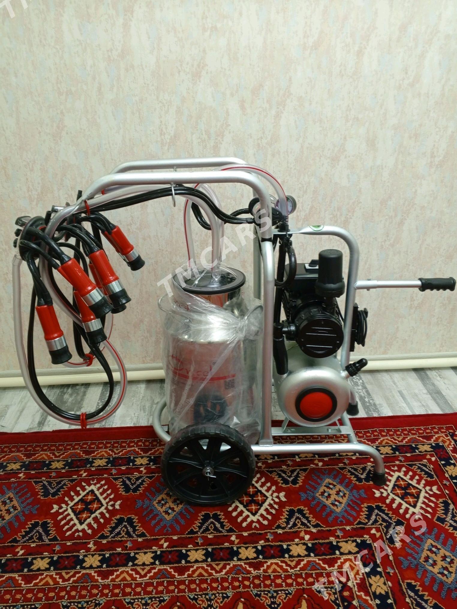 sygyr sagyan - Кака - img 3