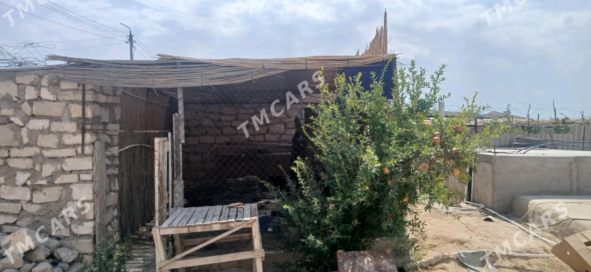 Daça Дача Аерапорт Aeroport - Туркменбаши - img 5
