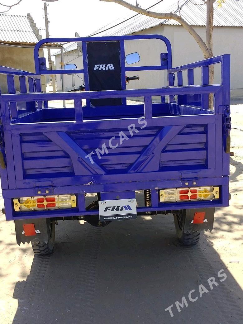 Fekon FK200-14G 2024 - 25 000 TMT - Ak bugdaý etraby - img 3