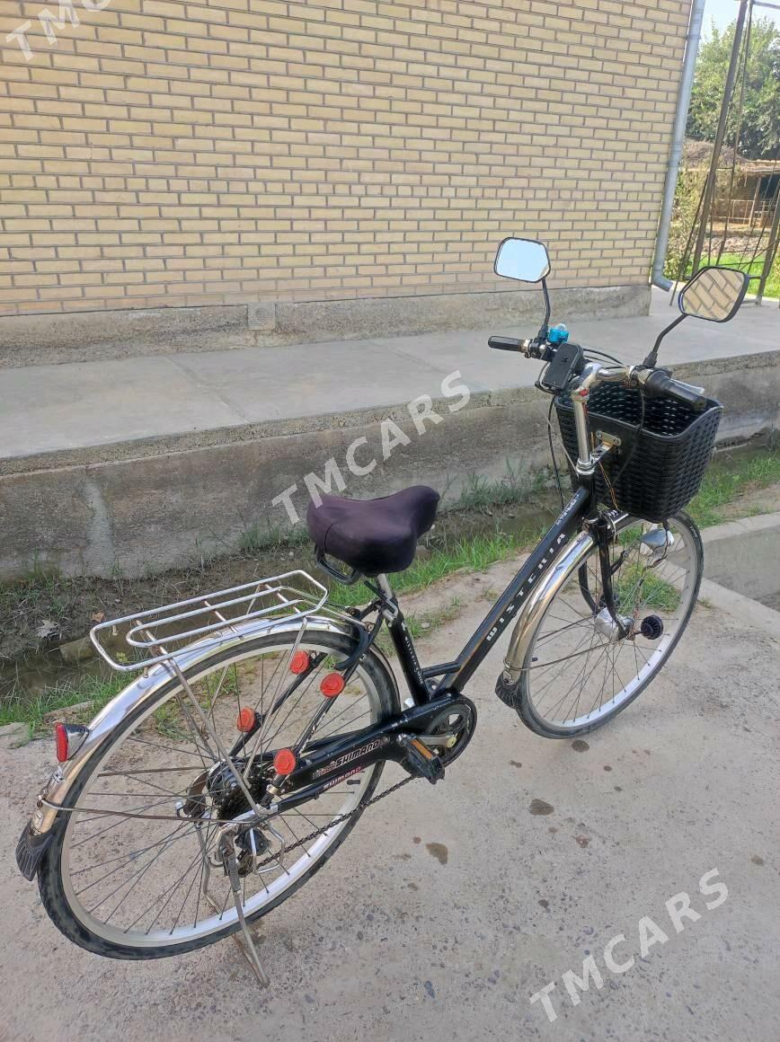Welik 7 skor - Sakarçäge - img 2