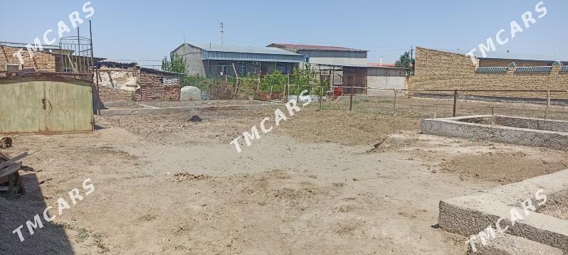 дача - Türkmenabat - img 2