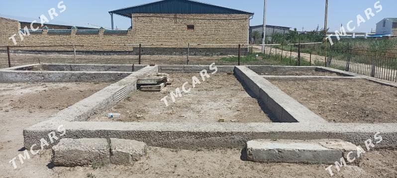 дача - Türkmenabat - img 5