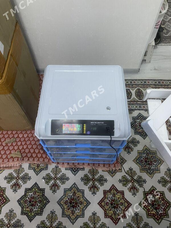 inkubator - Aşgabat - img 3