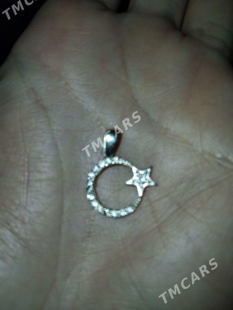 kumis klon - Daşoguz - img 3