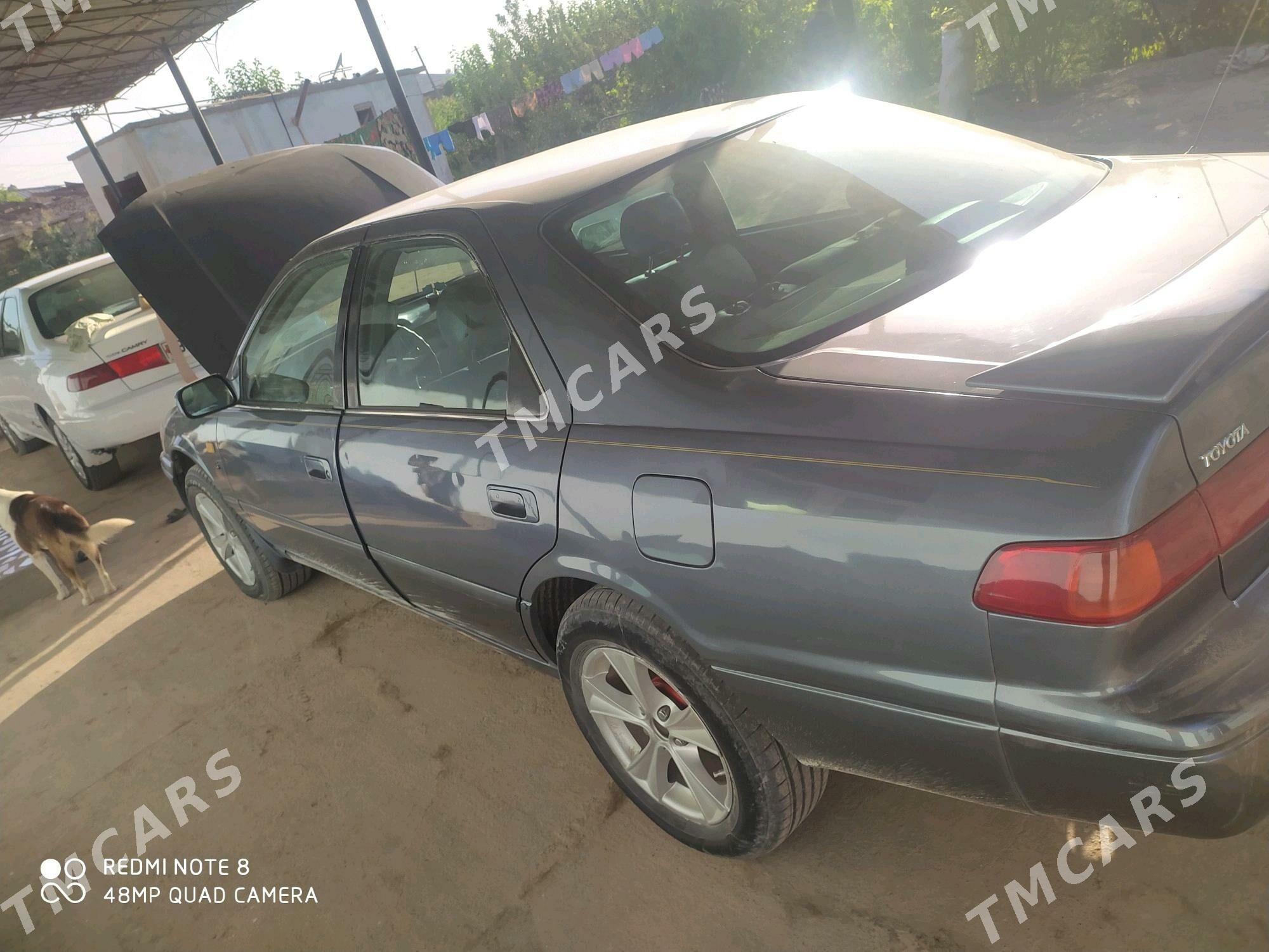 Toyota Camry 1999 - 140 000 TMT - Достлук - img 6
