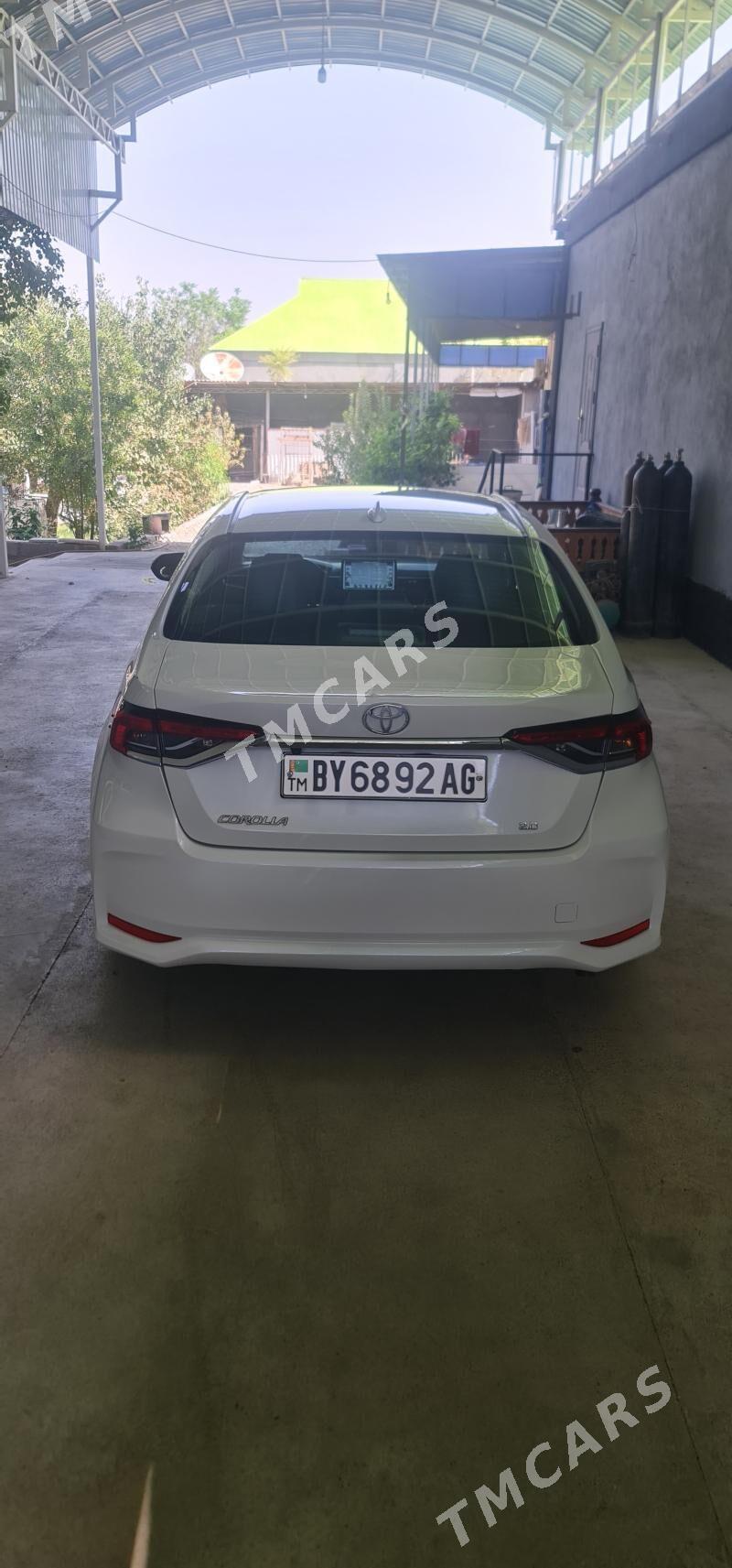 Toyota Corolla 2020 - 243 000 TMT - Ашхабад - img 8
