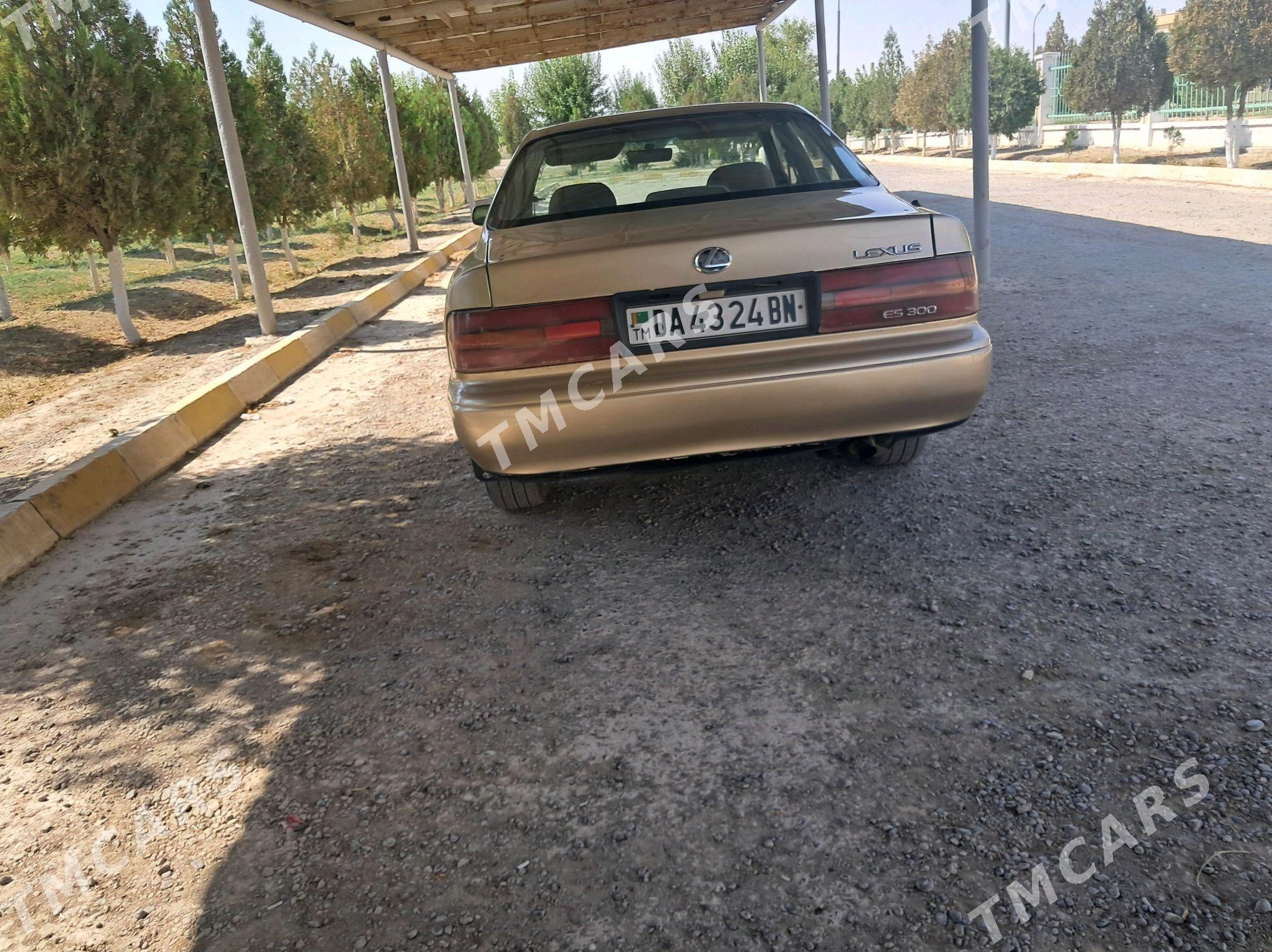 Lexus ES 300 1994 - 80 000 TMT - Гызыларбат - img 5
