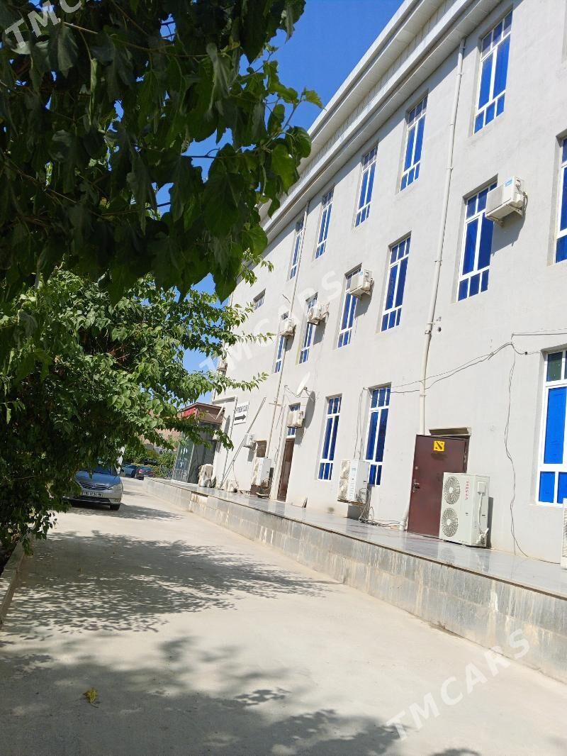 Arenda - Мары - img 6