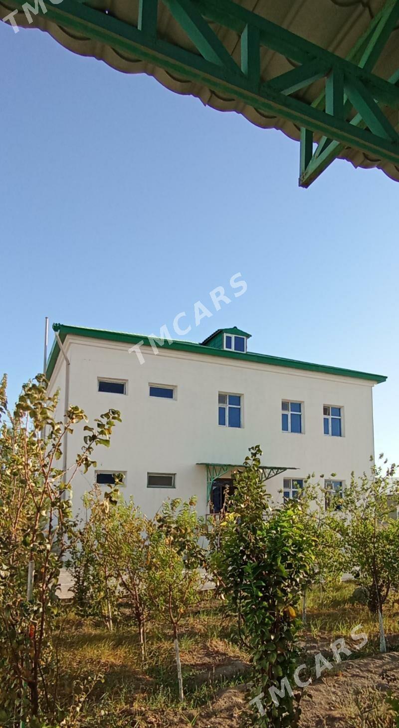 Satlyk jaý kottej - Gyzylarbat - img 2
