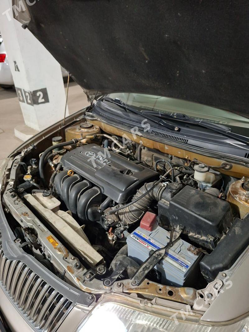 Toyota Corolla 2005 - 134 000 TMT - Ашхабад - img 9