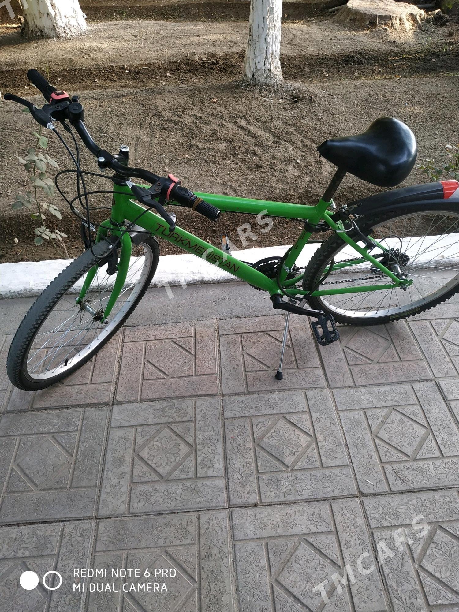 turkmenistan tigir - 30 mkr - img 2