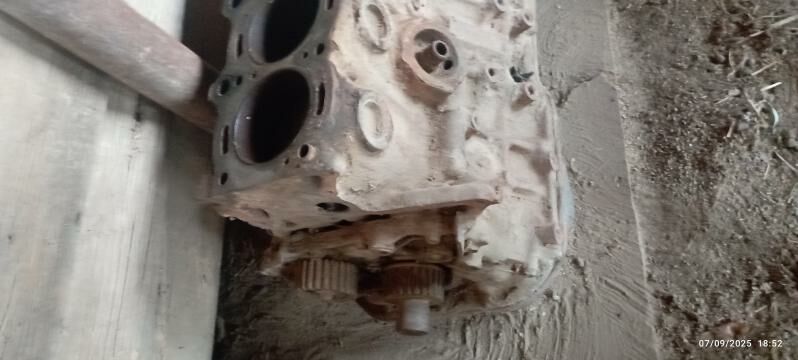 corona motor 300 TMT - Murgap - img 2