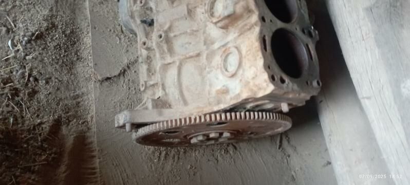 corona motor 300 TMT - Murgap - img 3