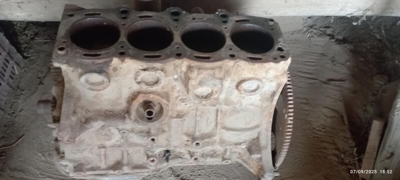 corona motor 300 TMT - Murgap - img 4