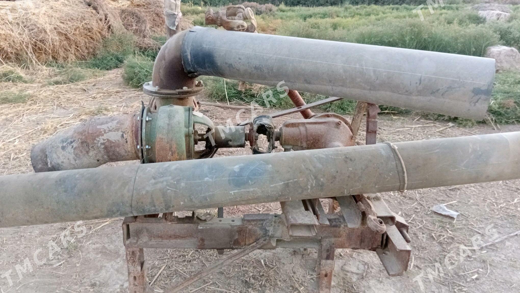 MTZ T-28 1996 - 30 000 TMT - Гурбансолтан Едже - img 6