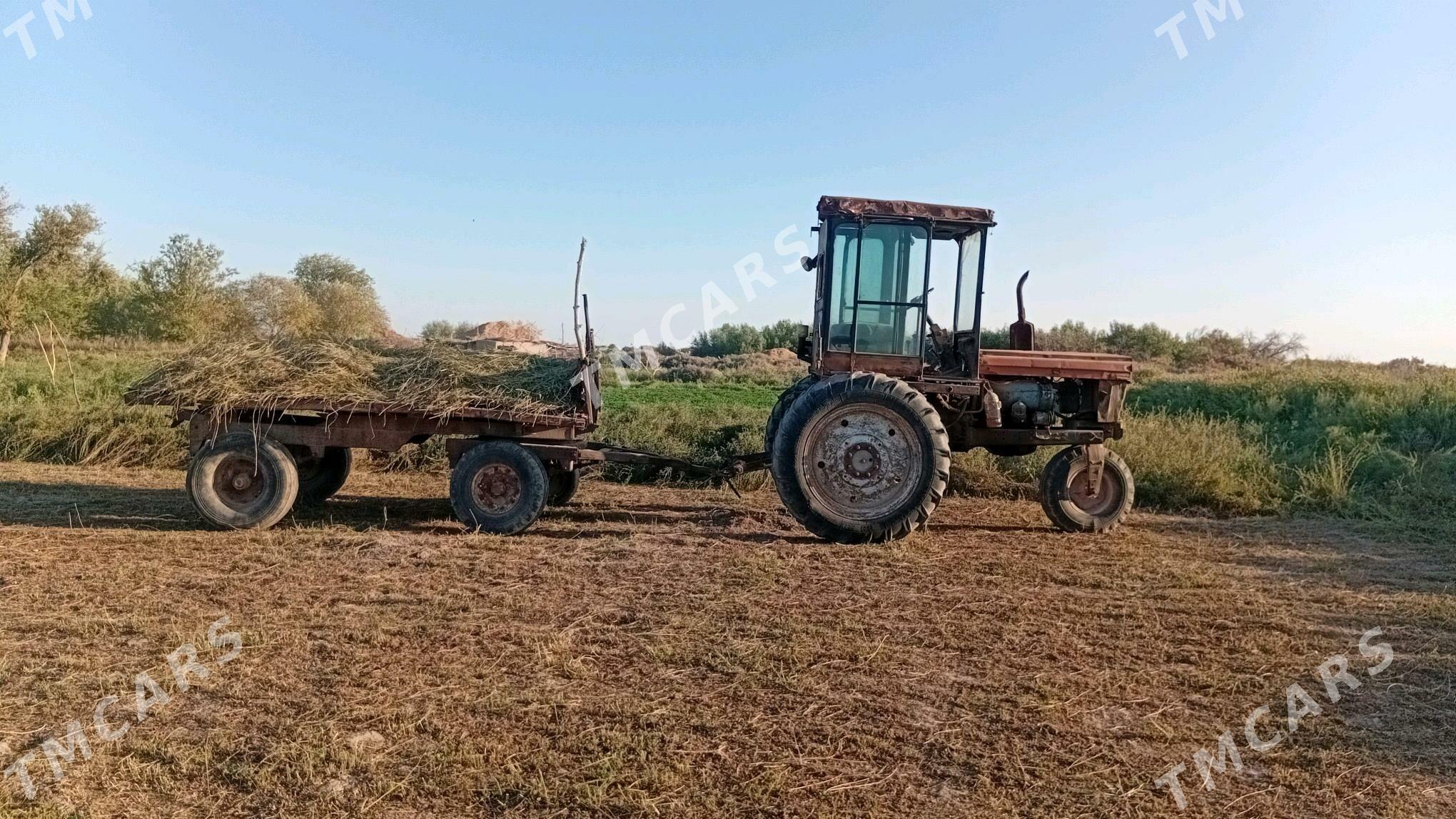 MTZ T-28 1996 - 30 000 TMT - Гурбансолтан Едже - img 2