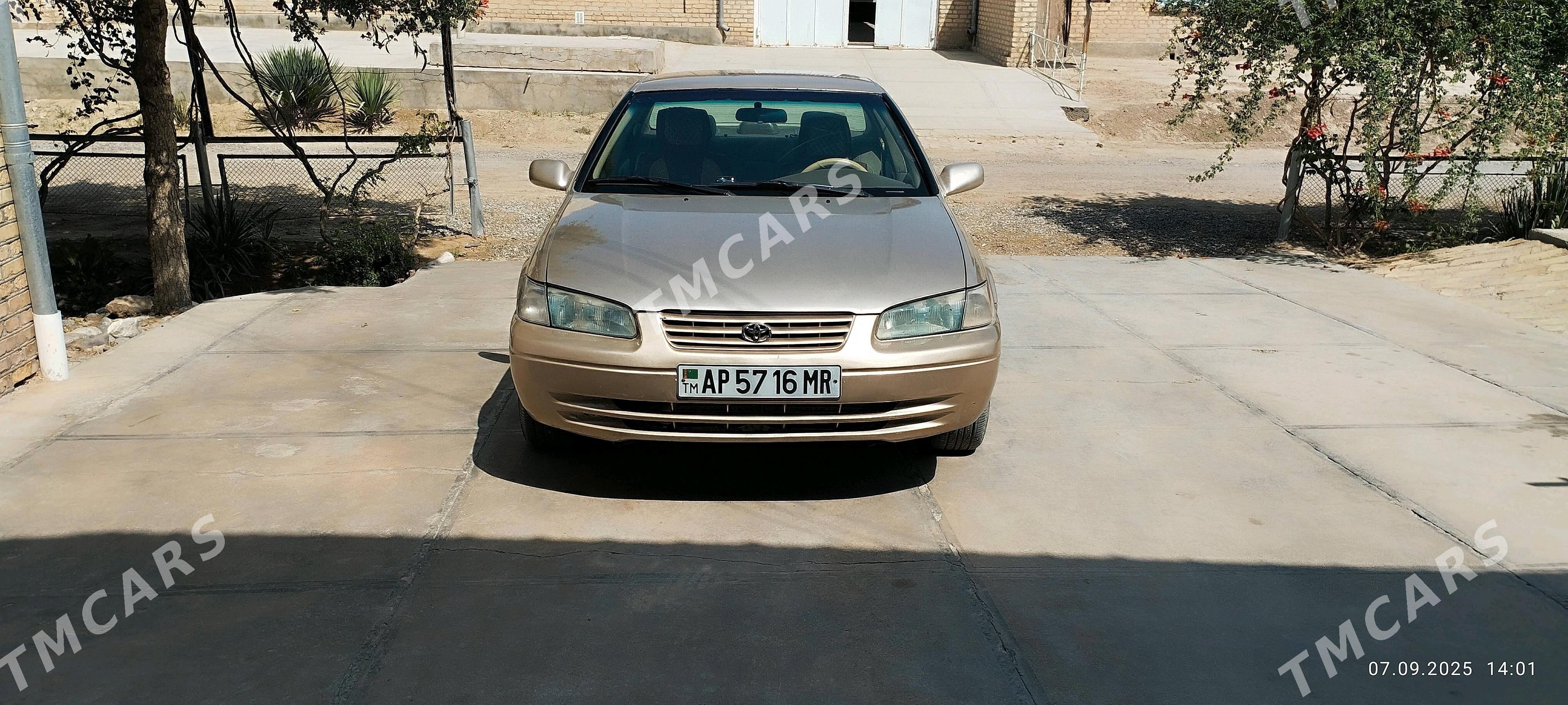 Toyota Camry 1999 - 115 000 TMT - Байрамали - img 3