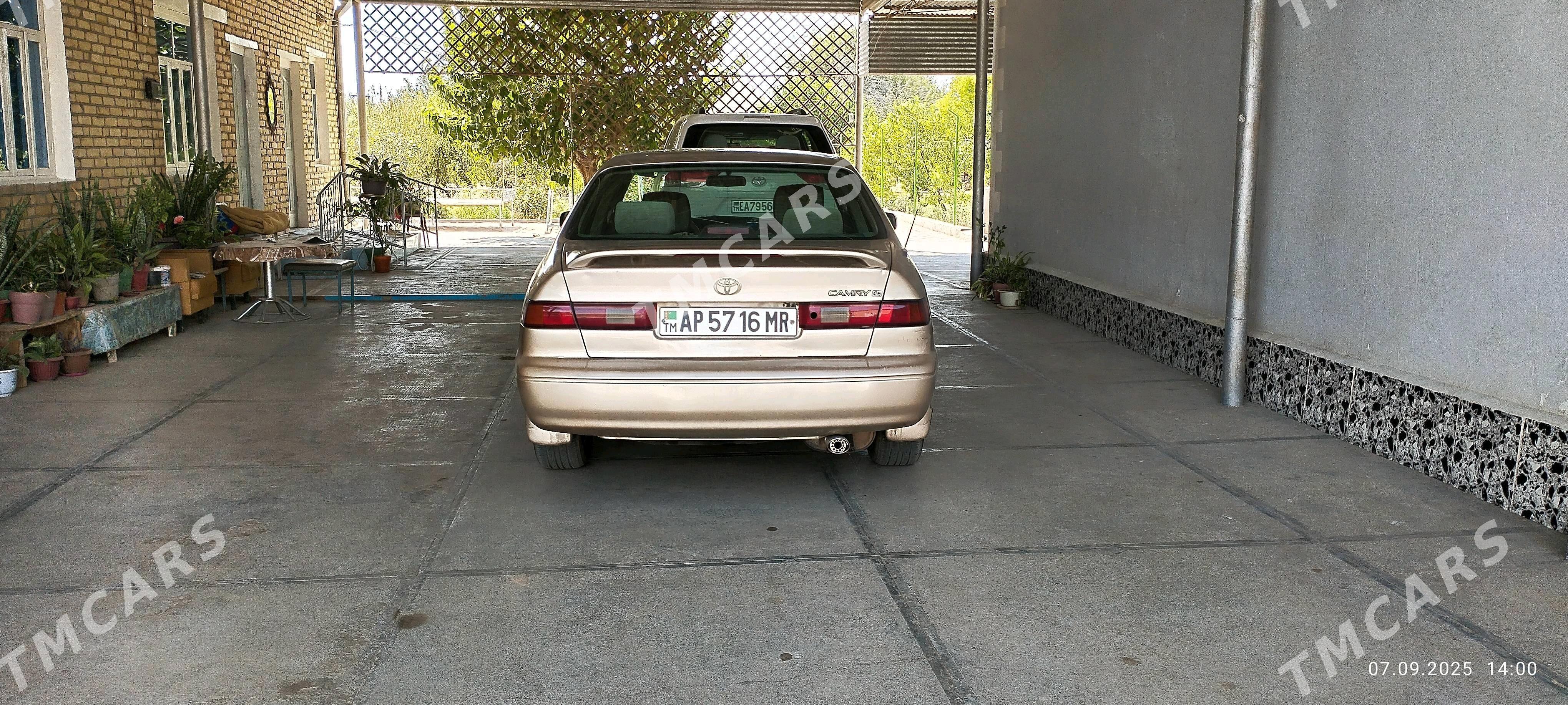 Toyota Camry 1999 - 115 000 TMT - Байрамали - img 5