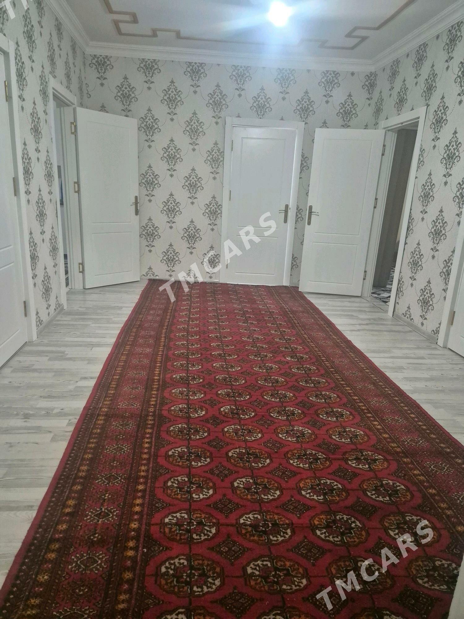 kreyne jay - Türkmenabat - img 2