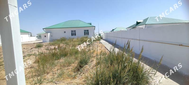 Onaldy - Aşgabat - img 7